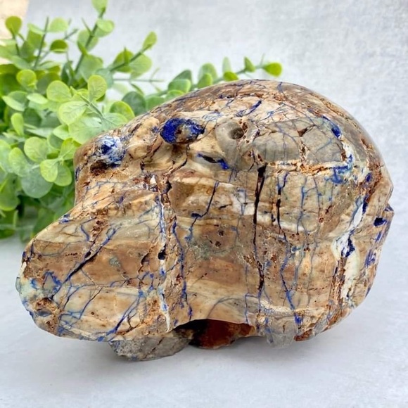 GEMSTONE 4.7" AZURITE & MALACHITE Carved Skull - Picture 9 of 11